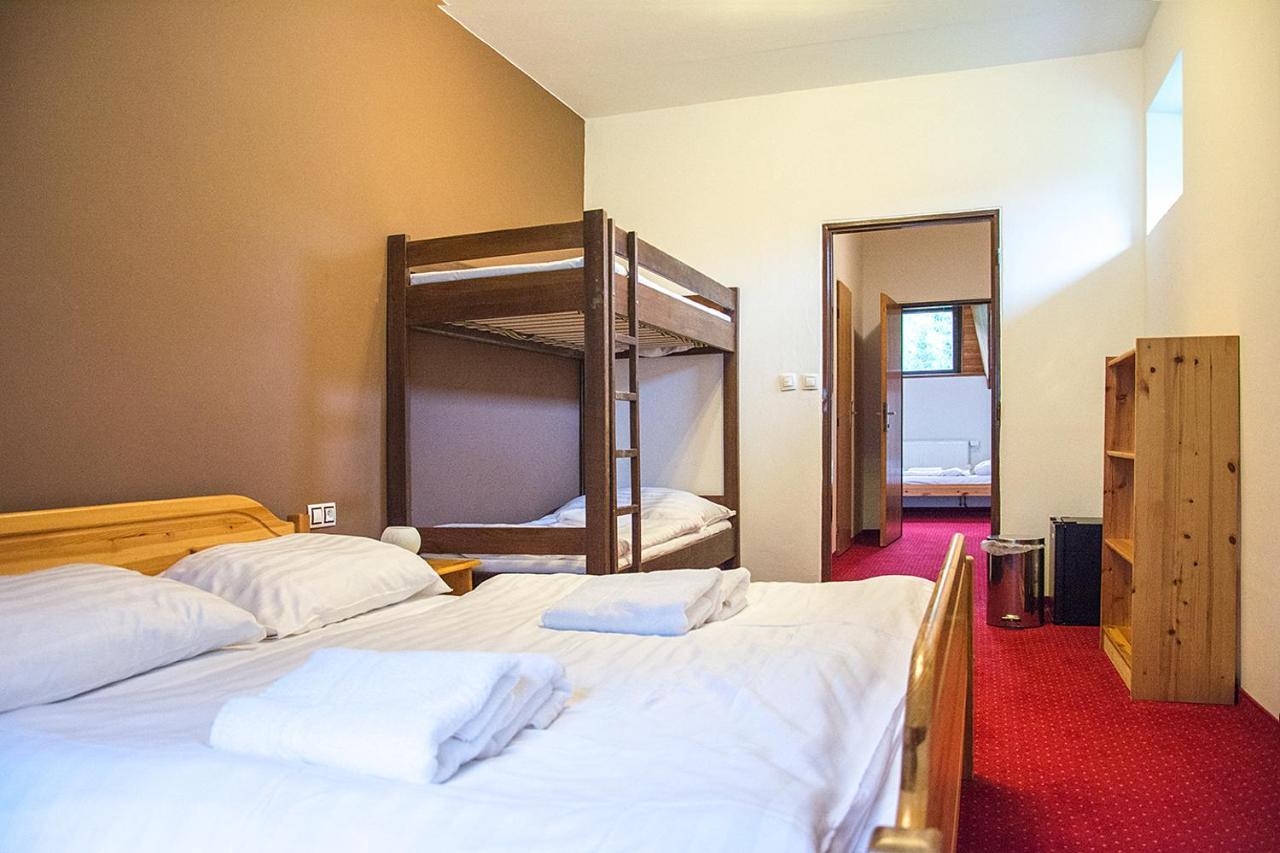 Horsky Hotel Vidly 卡尔洛瓦斯图丹卡 外观 照片